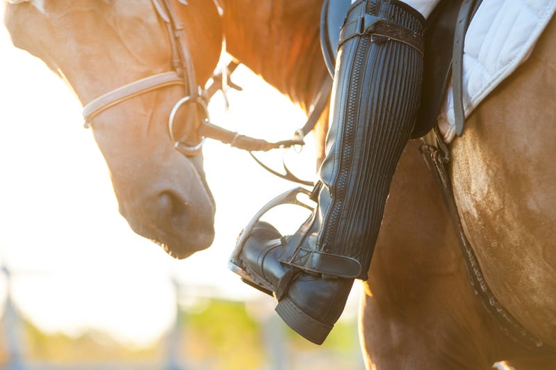 Horse, Tail, Outside, Waving, Wind