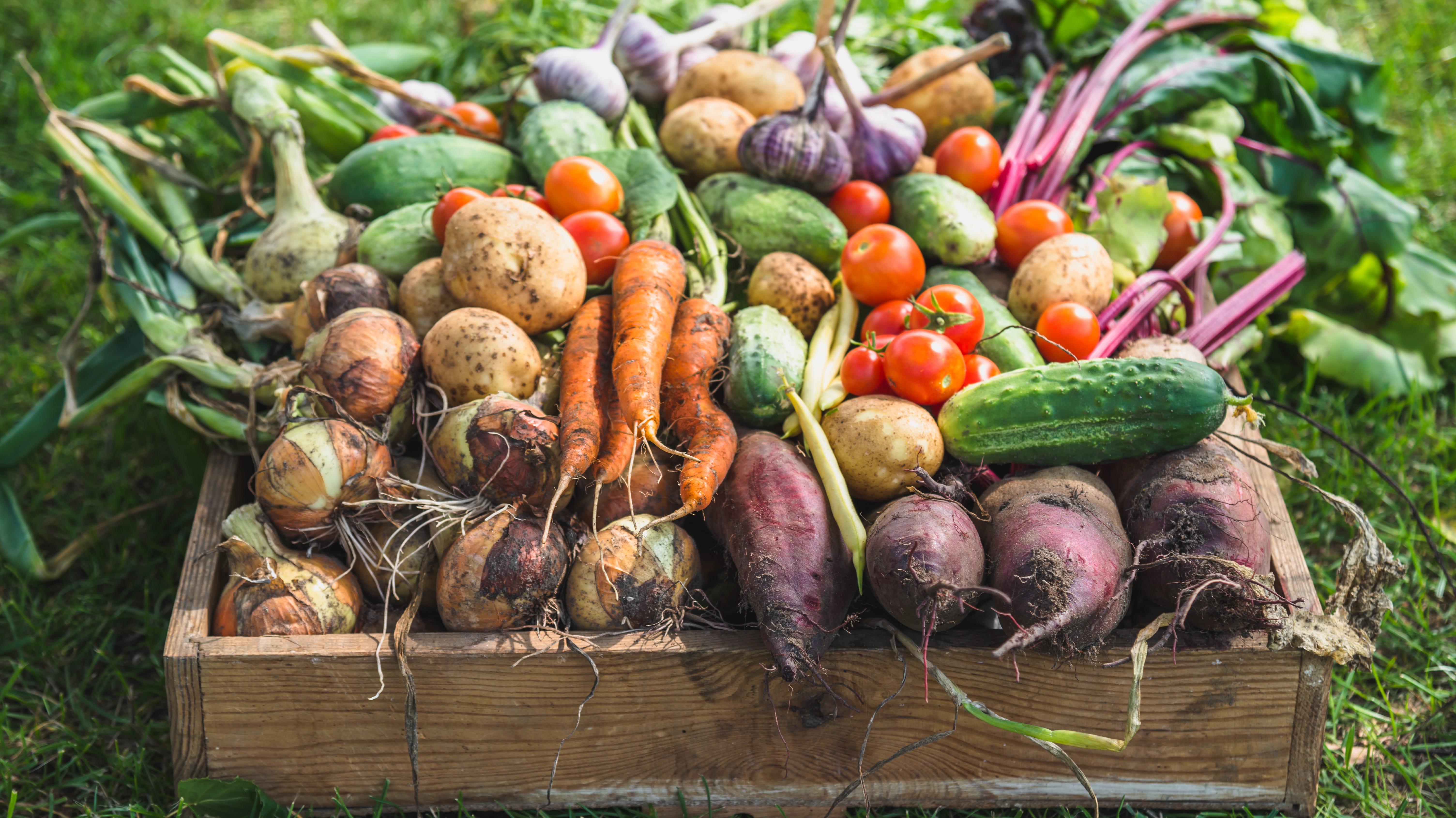 How the pandemic made us appreciate local food and local farmers