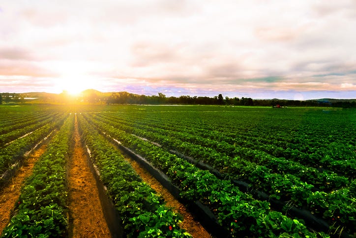 farmland