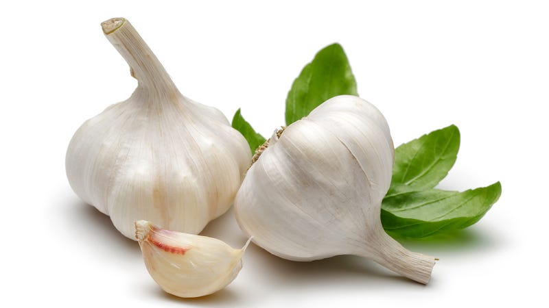 Garlic clove with basil leaves