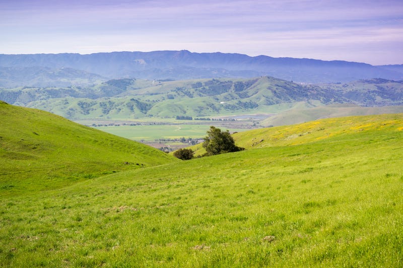 View towards the valley and Mount Umunhum peak from the hills of Coyote Ridge, San Jose.