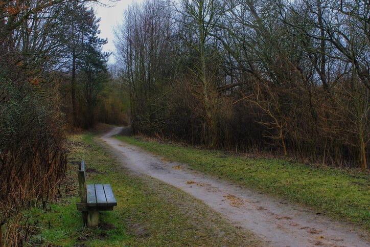 Woods.
