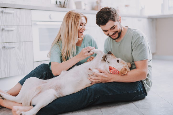 Dog Owners