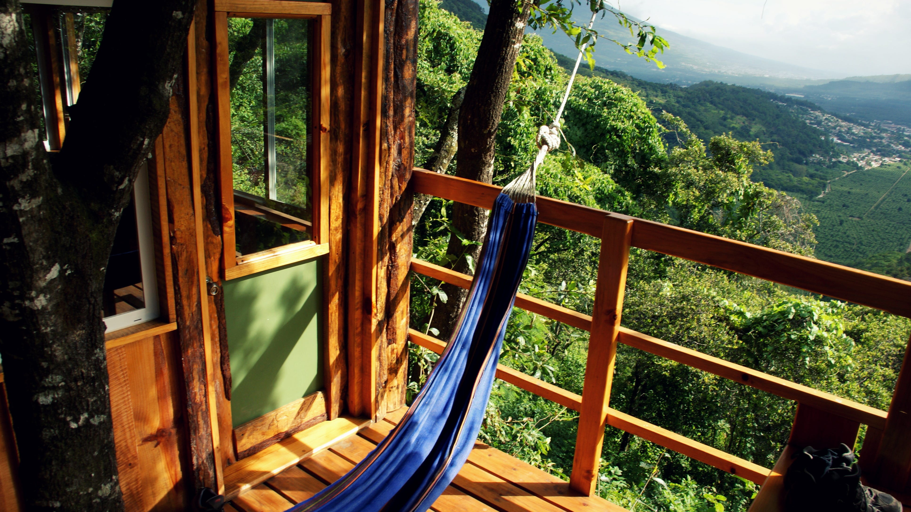 Literal tree house listed on Zillow for $3.8M