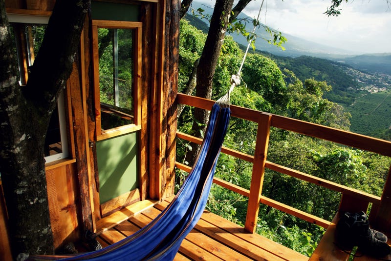 tropical tree house