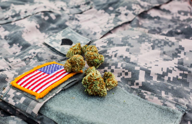 Cannabis buds on an army uniform. 