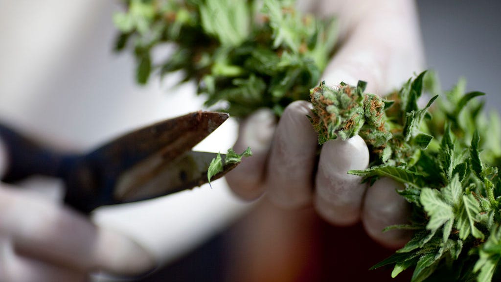 'This is a historic day in New York': Cuomo signs bill legalizing recreational marijuana