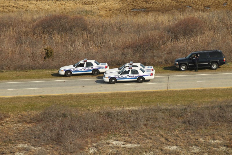 An aerial view of police cars near where a body was discovered in the area near Gilgo Beach and Ocean Parkway on Long Island on April 15, 2011 in Wantagh, New York.