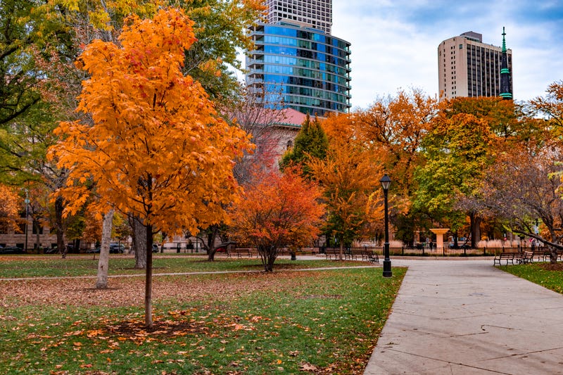Washington Square Park in Chicago with colorful trees during autumn