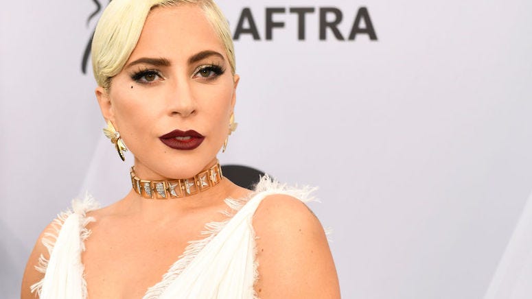 Lady Gaga's dog walker shot, 2 dogs stolen: Report