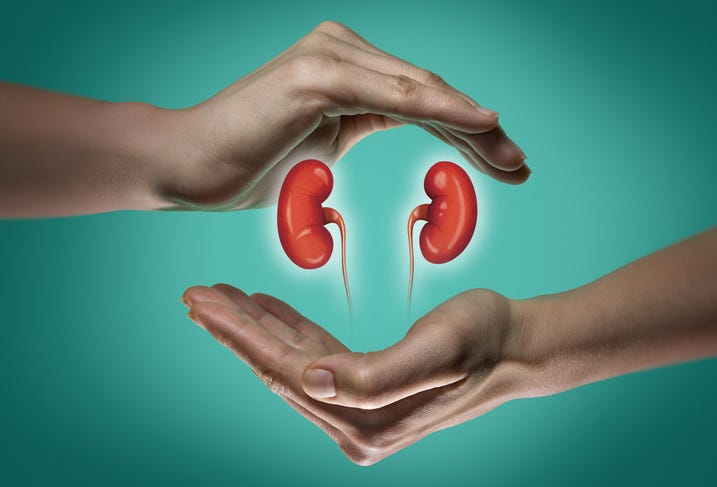 KIDNEY