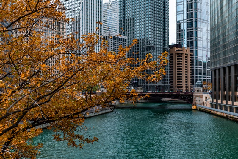 Chicago Fall
