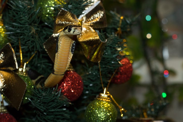 Snake in Christmas tree