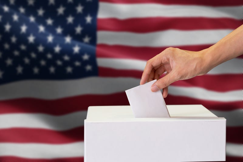 Person voting