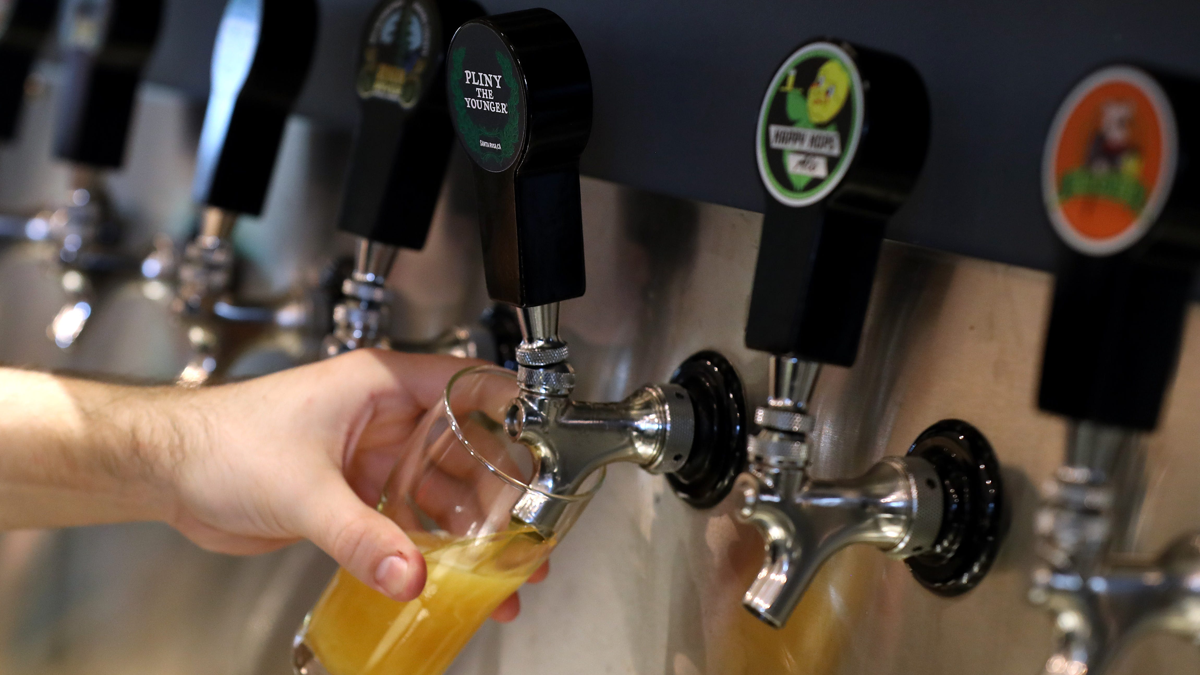 COVID-19 drains release of beloved Pliny the Younger