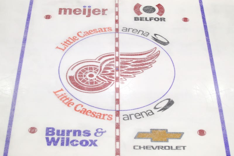 Detroit Red Wings logo