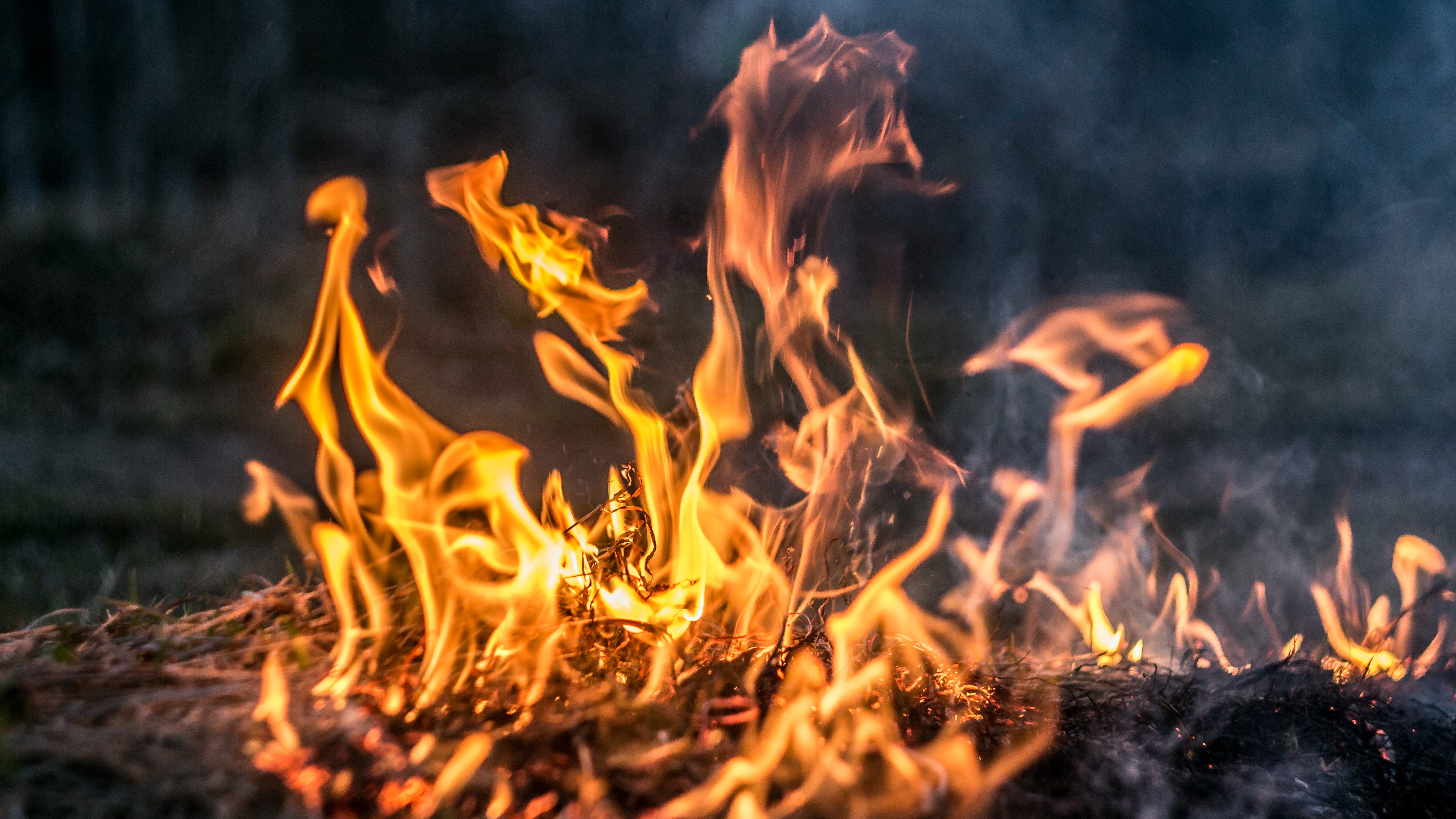 Dallas firefighters working to put out grass fire