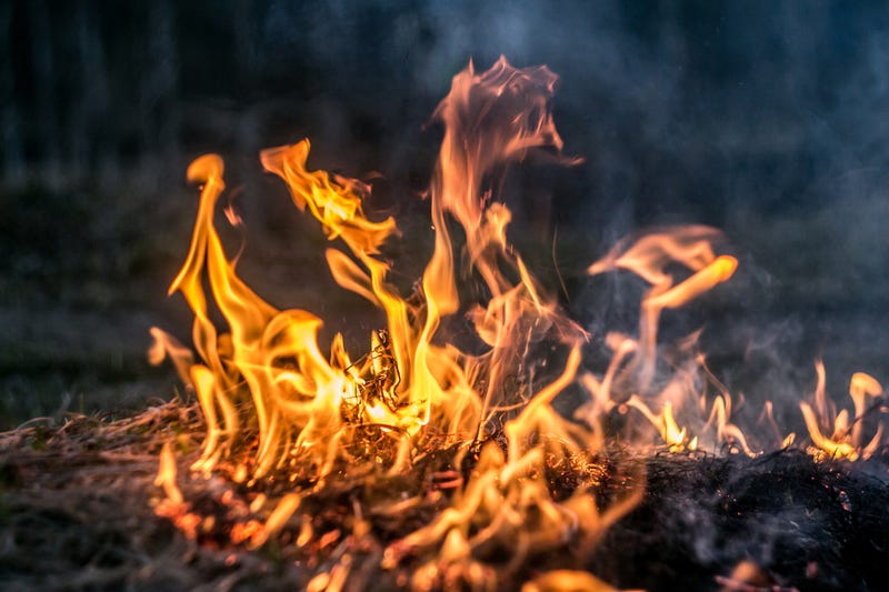 Grass Fire