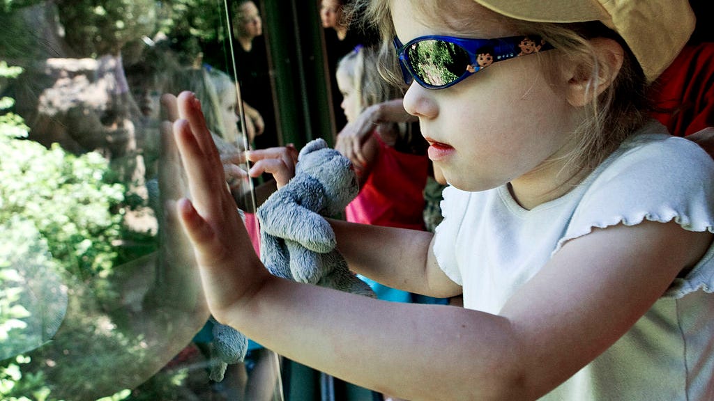 Fort Worth Zoo expects capacity crowd for half-price admission day