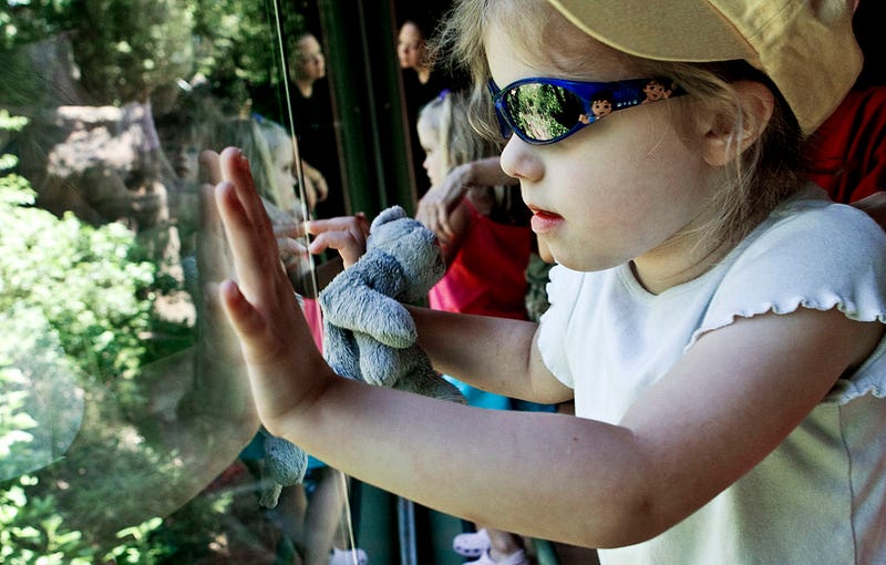 Zoo