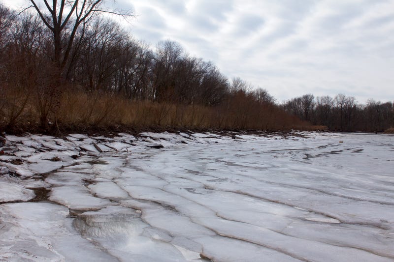 A view of Jack's Marina, a wetland restoration project at confluence of the Delaware River and Neshaminy Creek, in Feb. 2019.