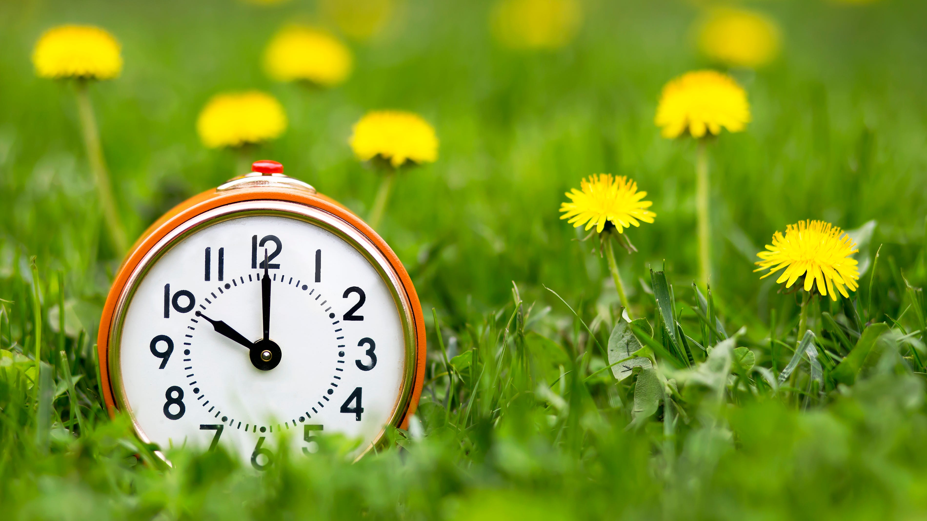 Texas House votes to make Daylight Saving Time permanent