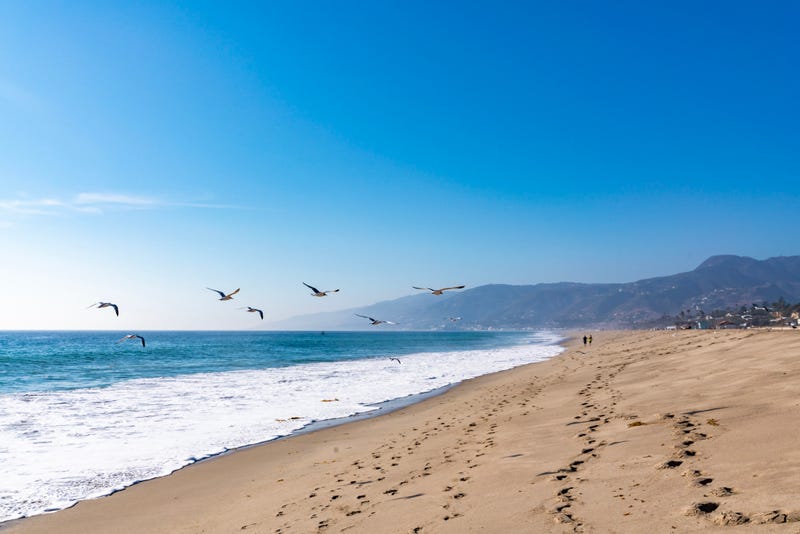 Malibu