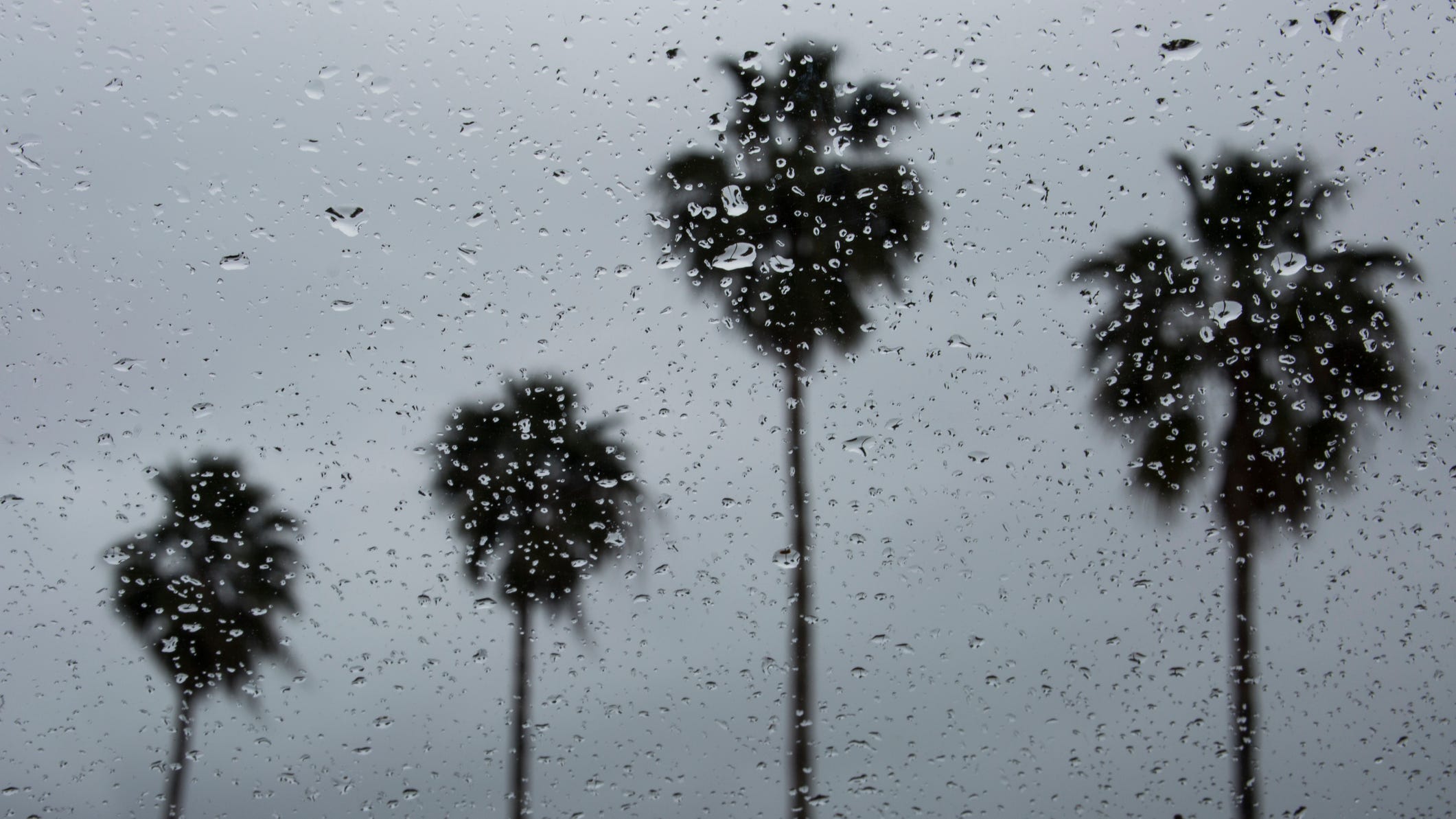 Record rainfall measured across L.A. County
