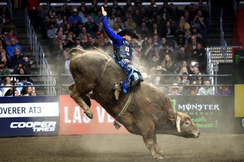 bull rider