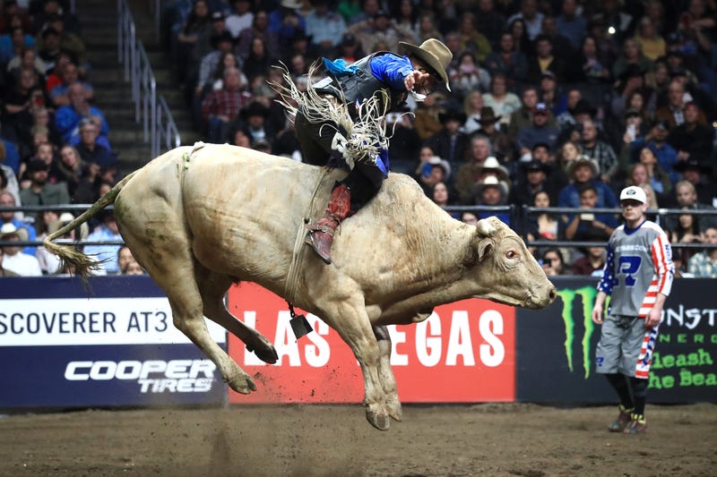 houston rodeo show