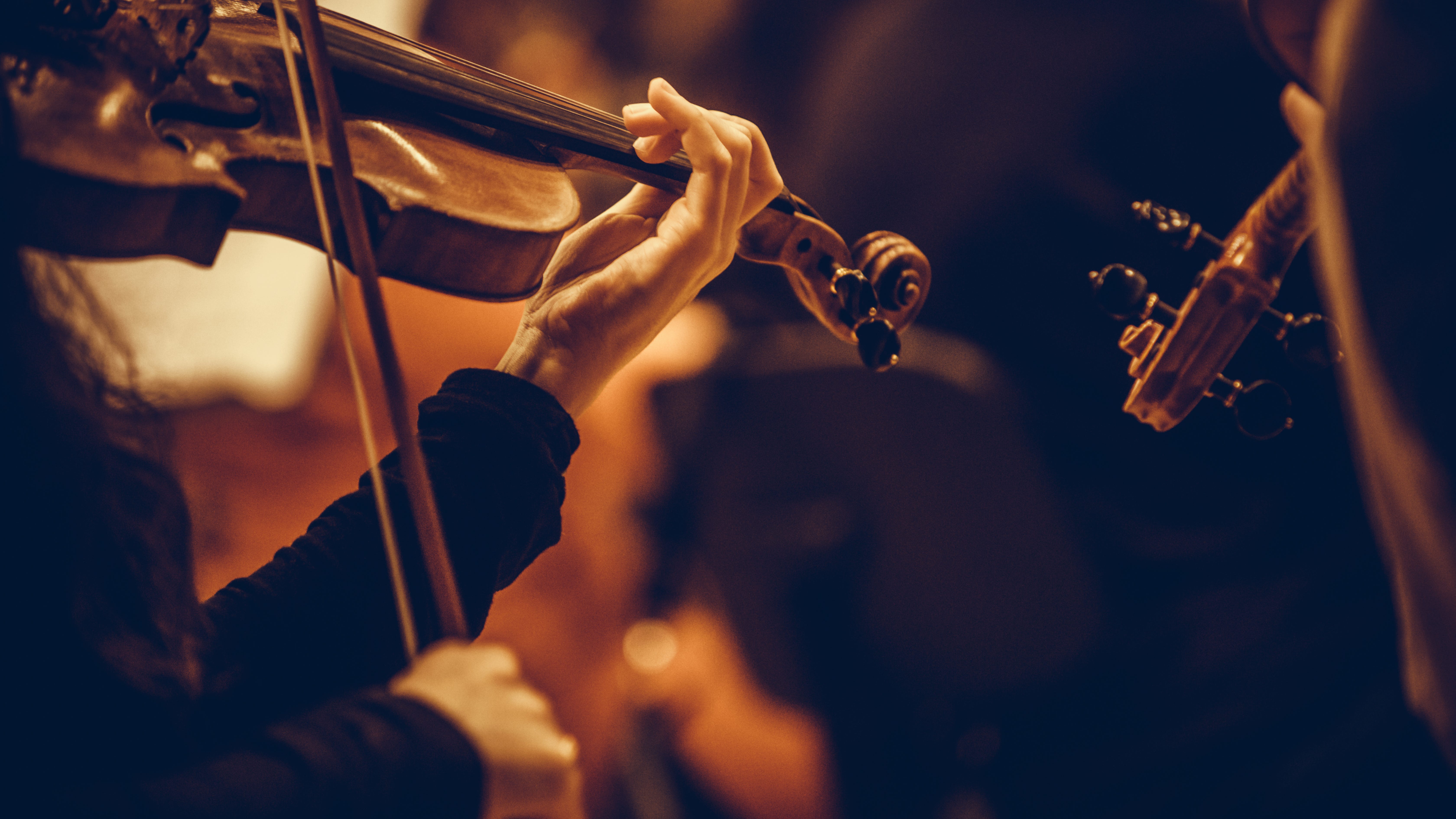 Music to our ears: San Francisco Symphony announces return to live, in person concerts