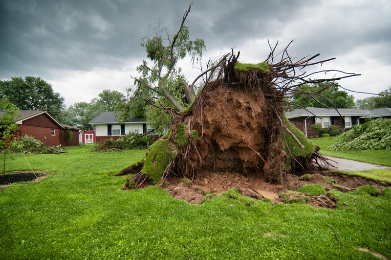 storm damage