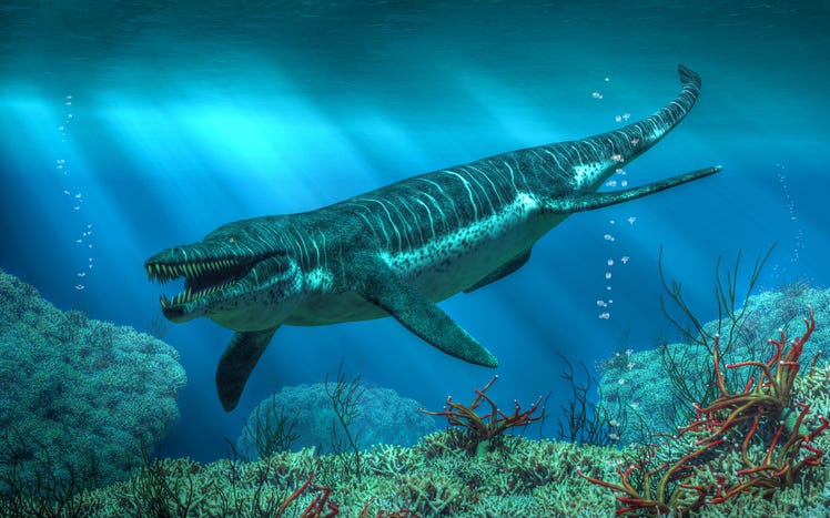 Pliosaur 