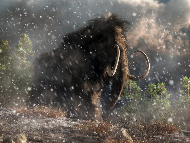 mammoth