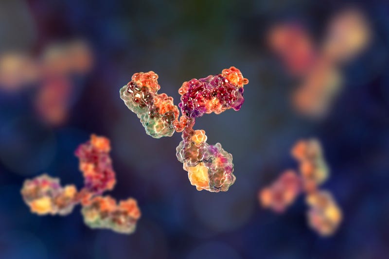 antibody stock image 