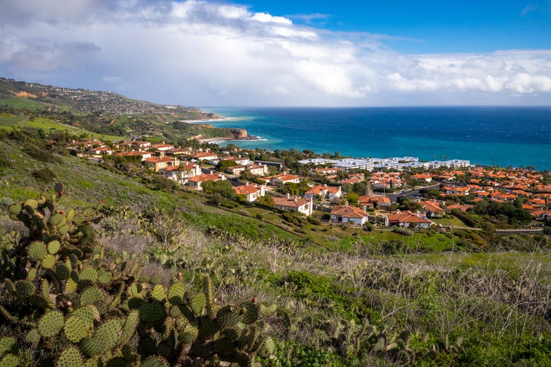 RPV