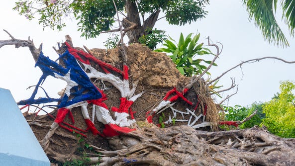 How to help Puerto Rico after Hurricane Fiona causes "catastrophic flooding"