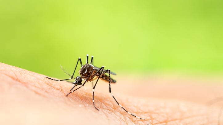 Mosquitoes carrying Jamestown Canyon virus (JCV) collected in Michigan — What to know