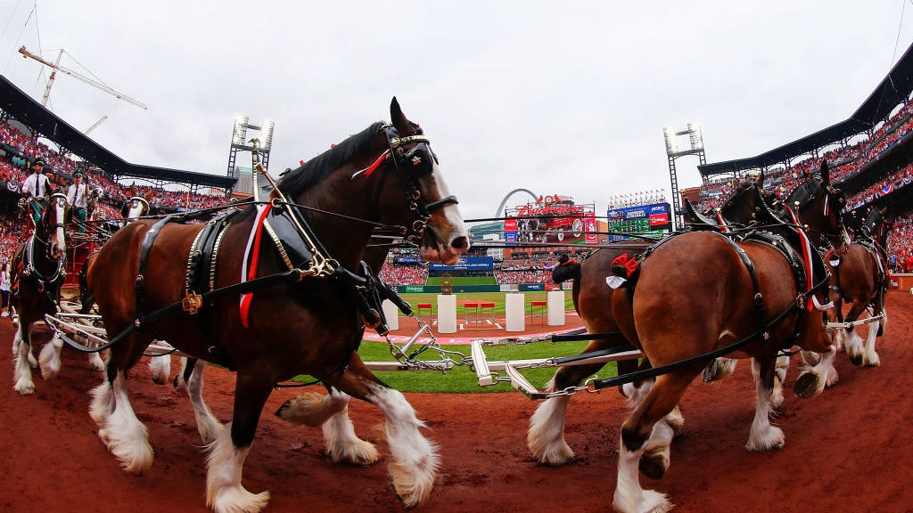 Budweiser Clydesdales will be back for Cardinals home opener