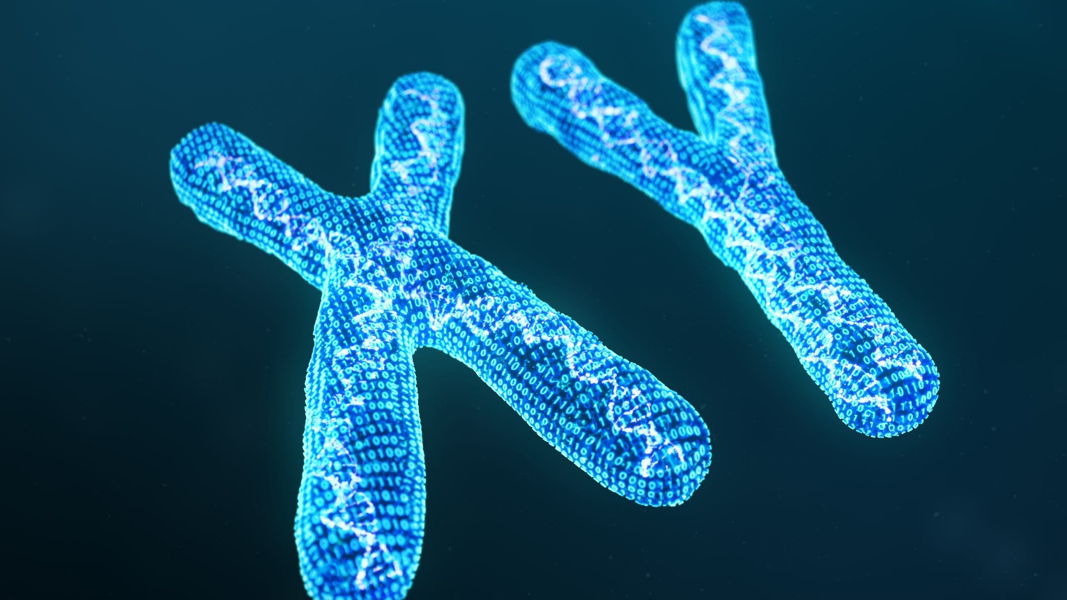 Men lose their Y chromosome with age, and it could be dangerous