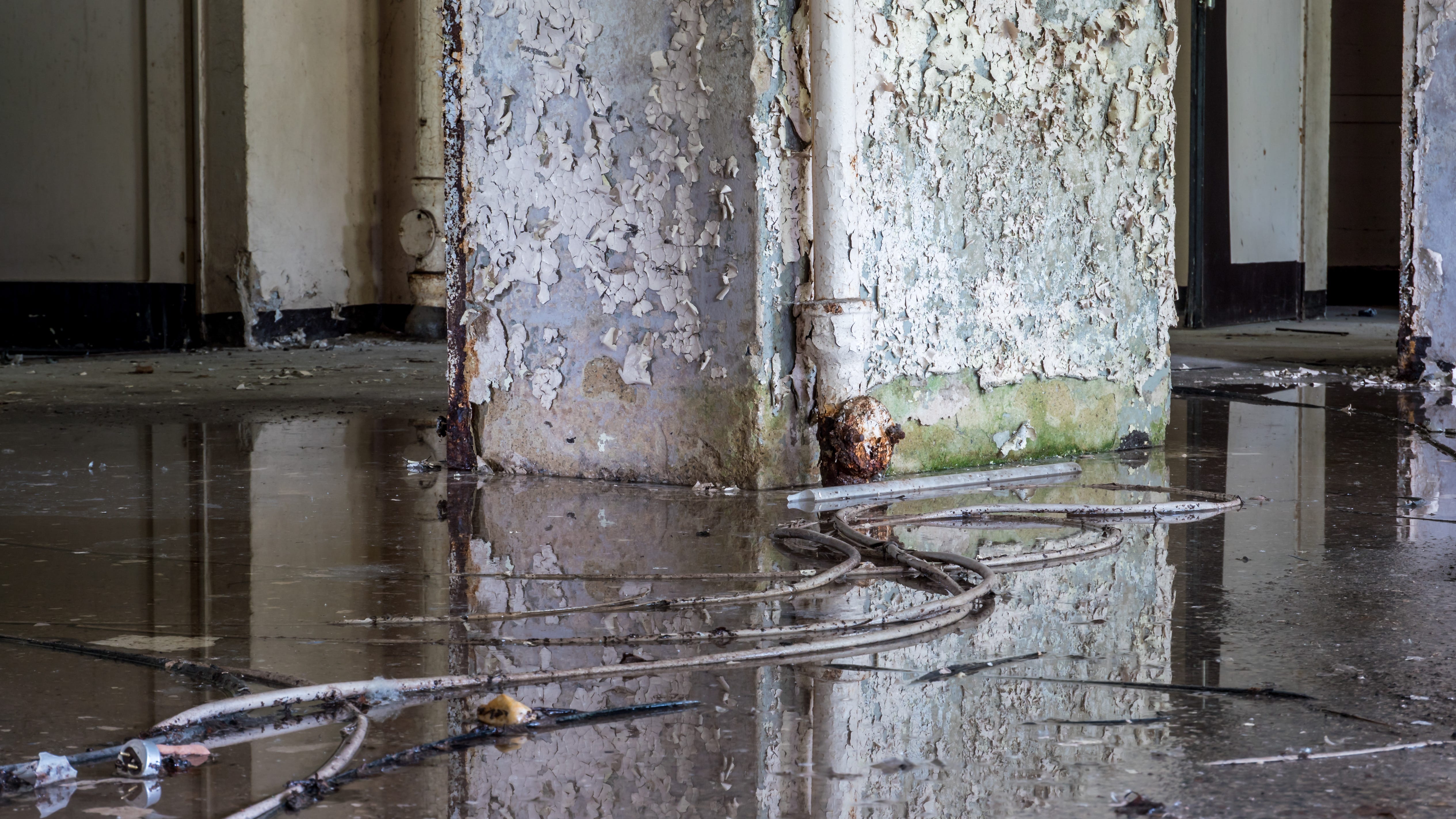 4,800 Detroit homes report water in basement following storms last week