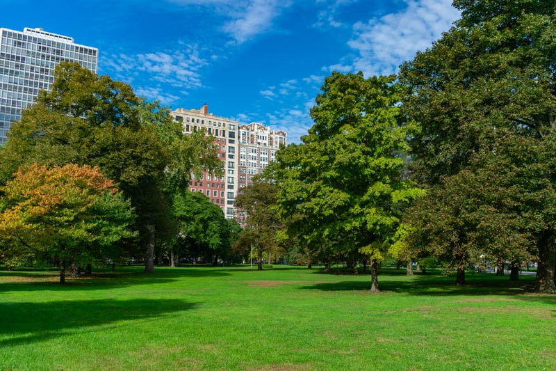 Open green space in Lincoln Park Chicago with trees and residential buildings