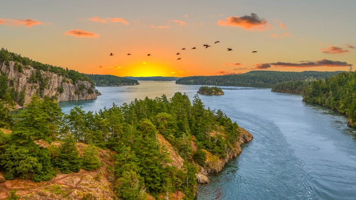 Minnesota couple among 10 killed in Puget Sound plane crash