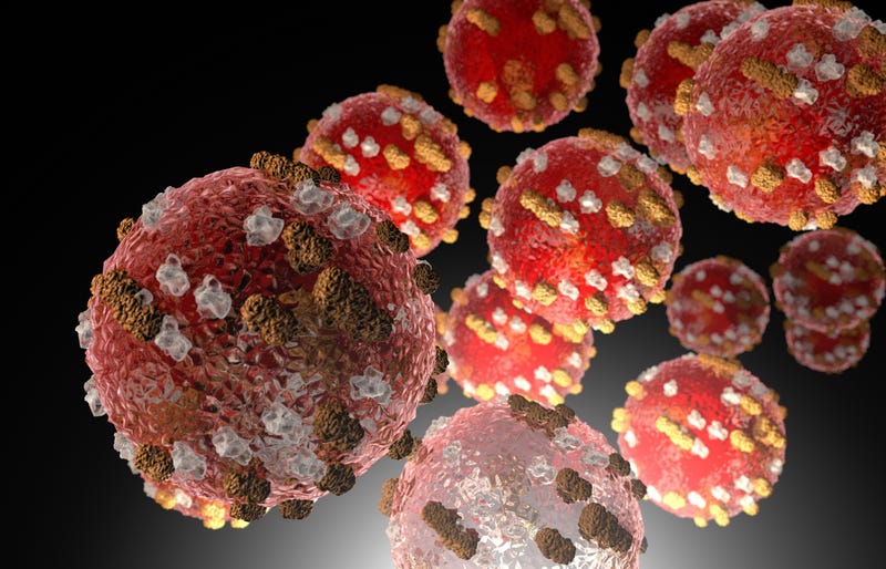 Measles virus