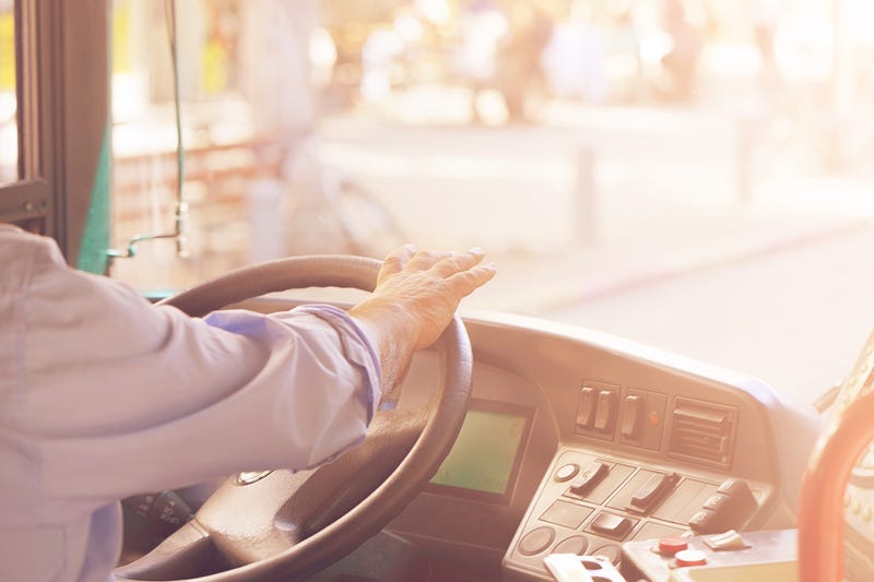 Bus Driver