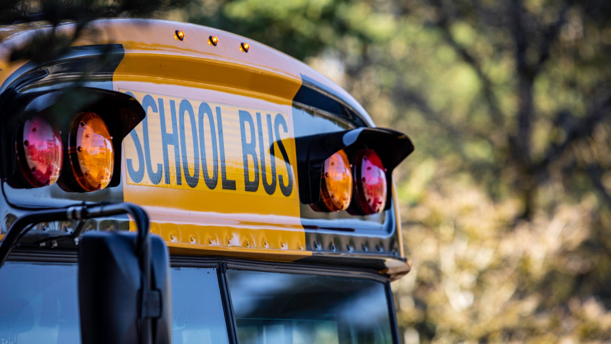 Drunken bus driver spotted veering across road with kids on board