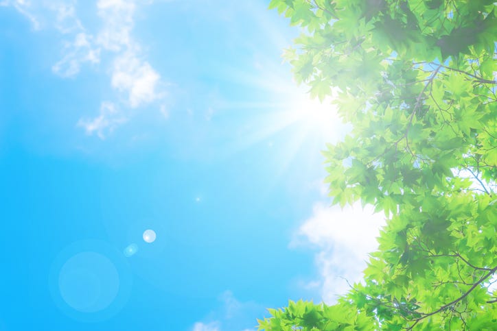 Summer