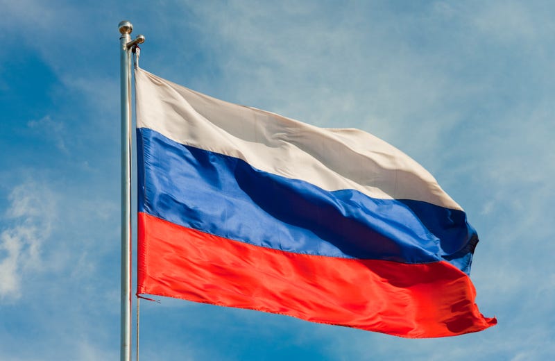 An U.S. Navy veteran from Michigan was released from Russian custody nearly a year after he was first detained, a family spokesperson confirmed on Thursday.