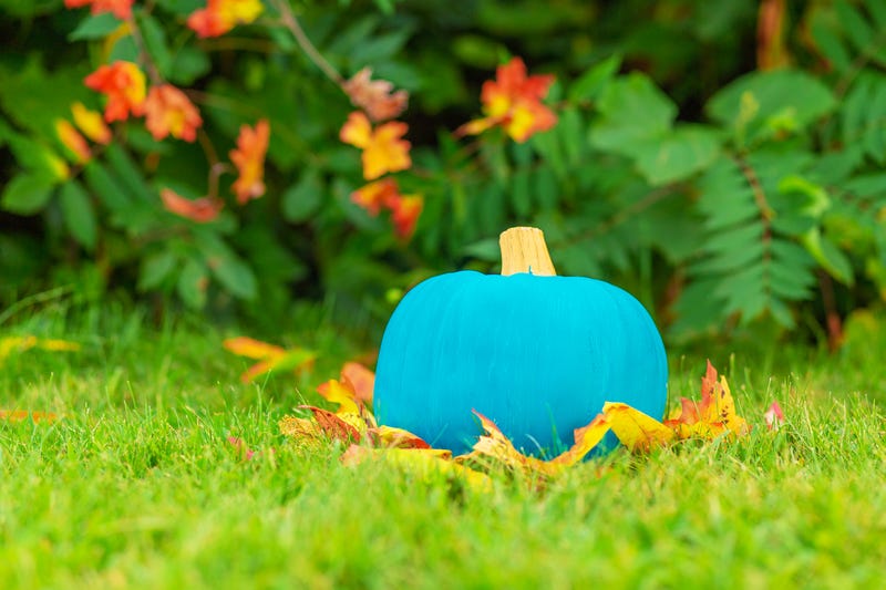 This Halloween, you may see some houses with teal-colored pumpkins and they aren’t just festive decorations - they are there to alert you about kids with allergies.