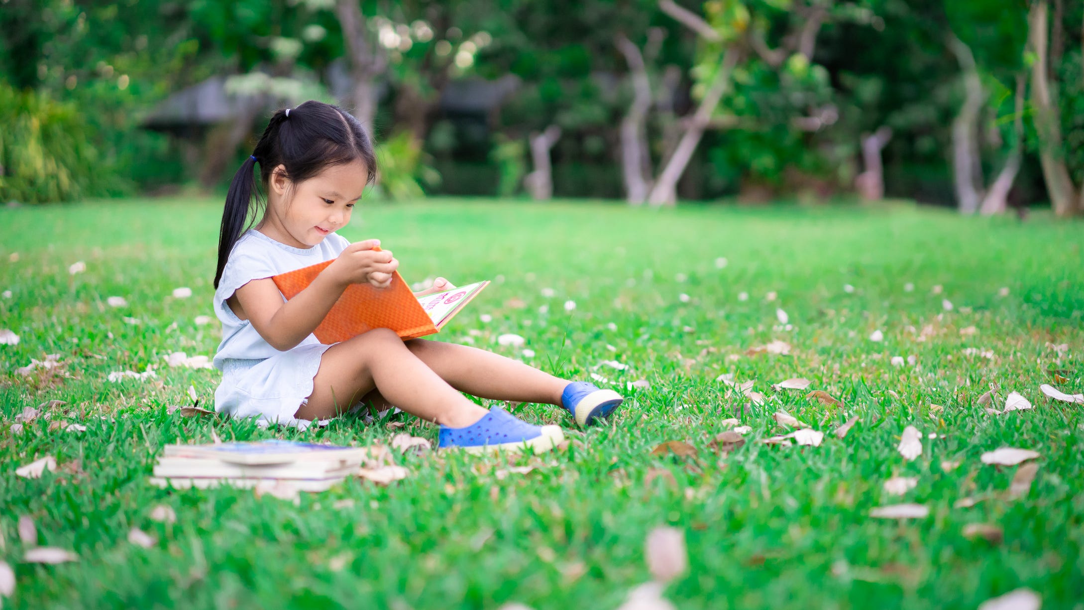 8 children’s books to celebrate Asian American and Pacific Islander Heritage Month